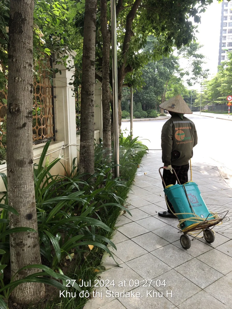 HƯỚNG DẪN TRỒNG CHĂM SÓC CÂY XANH