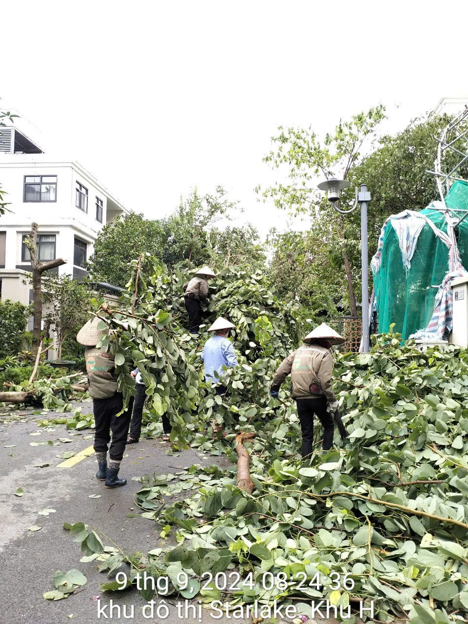 Công Ty Cổ Phần Đô Thị Xanh T và Q: Nỗ Lực Dọn Dẹp Sau Bão