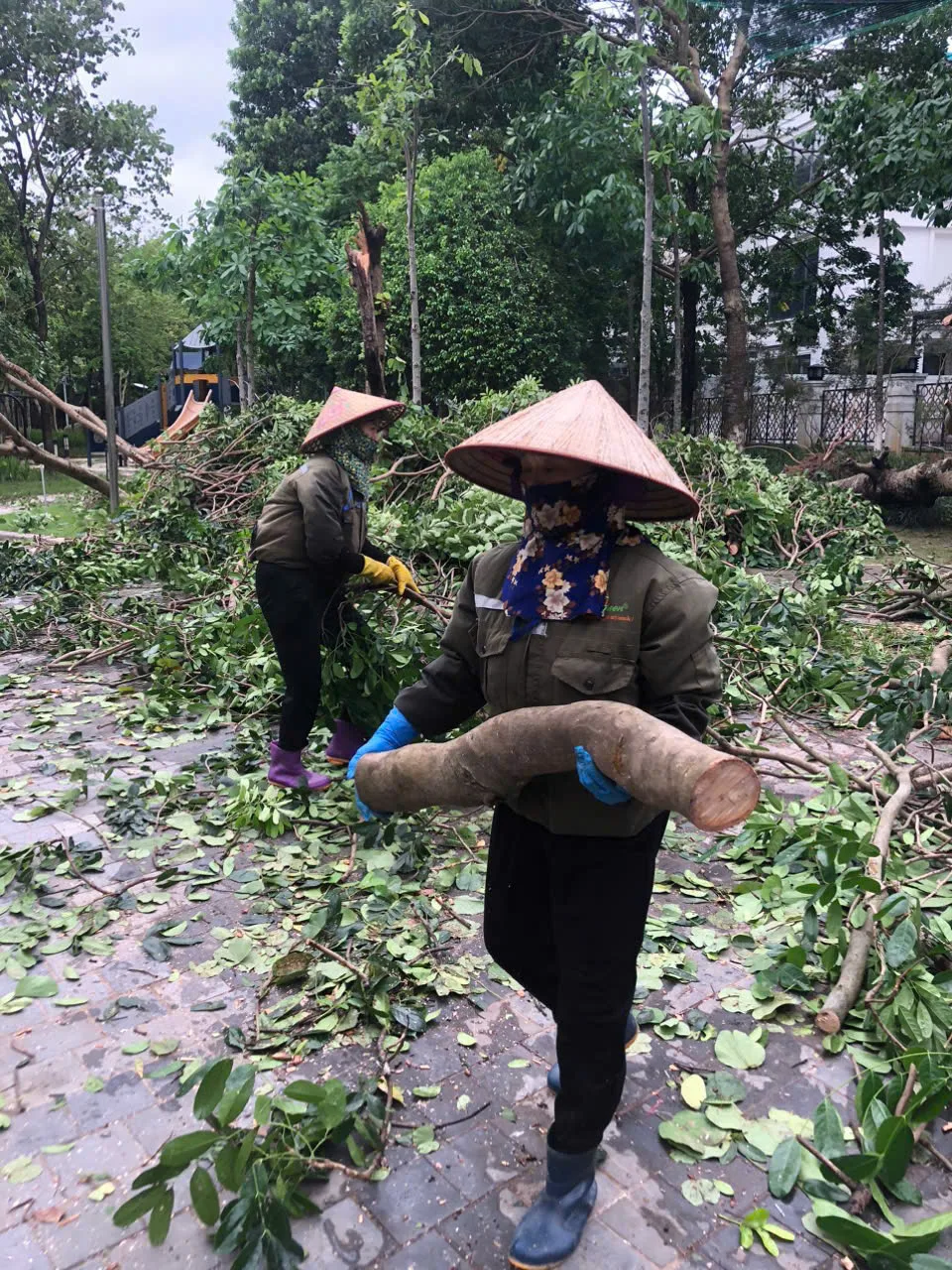 Công Ty Cổ Phần Đô Thị Xanh T và Q: Nỗ Lực Dọn Dẹp Sau Bão