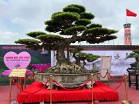 Festival Sinh Vật Cảnh Hà Nội Lần Thứ I Năm 2024: Sắc Hương Tụ Hội