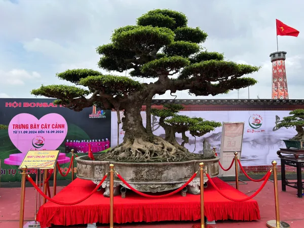 Festival Sinh Vật Cảnh Hà Nội Lần Thứ I Năm 2024: Sắc Hương Tụ Hội