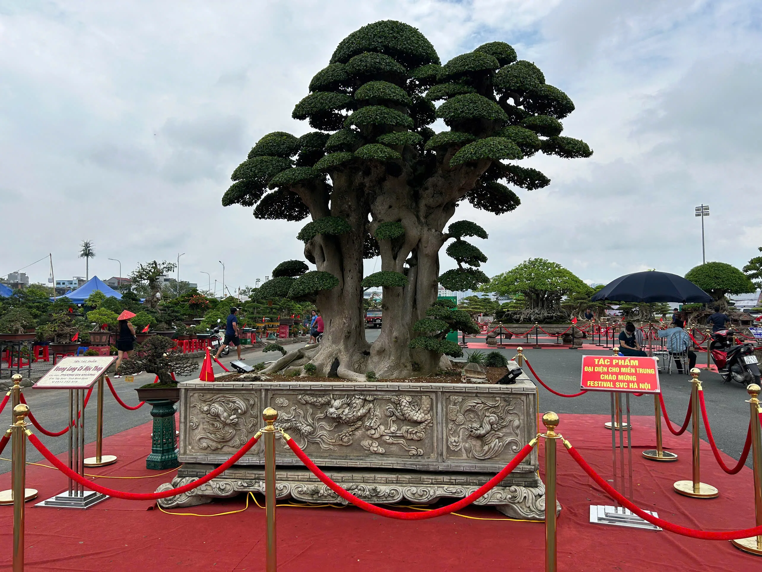 Festival Sinh Vật Cảnh Hà Nội Lần Thứ I Năm 2024: Sắc Hương Tụ Hội