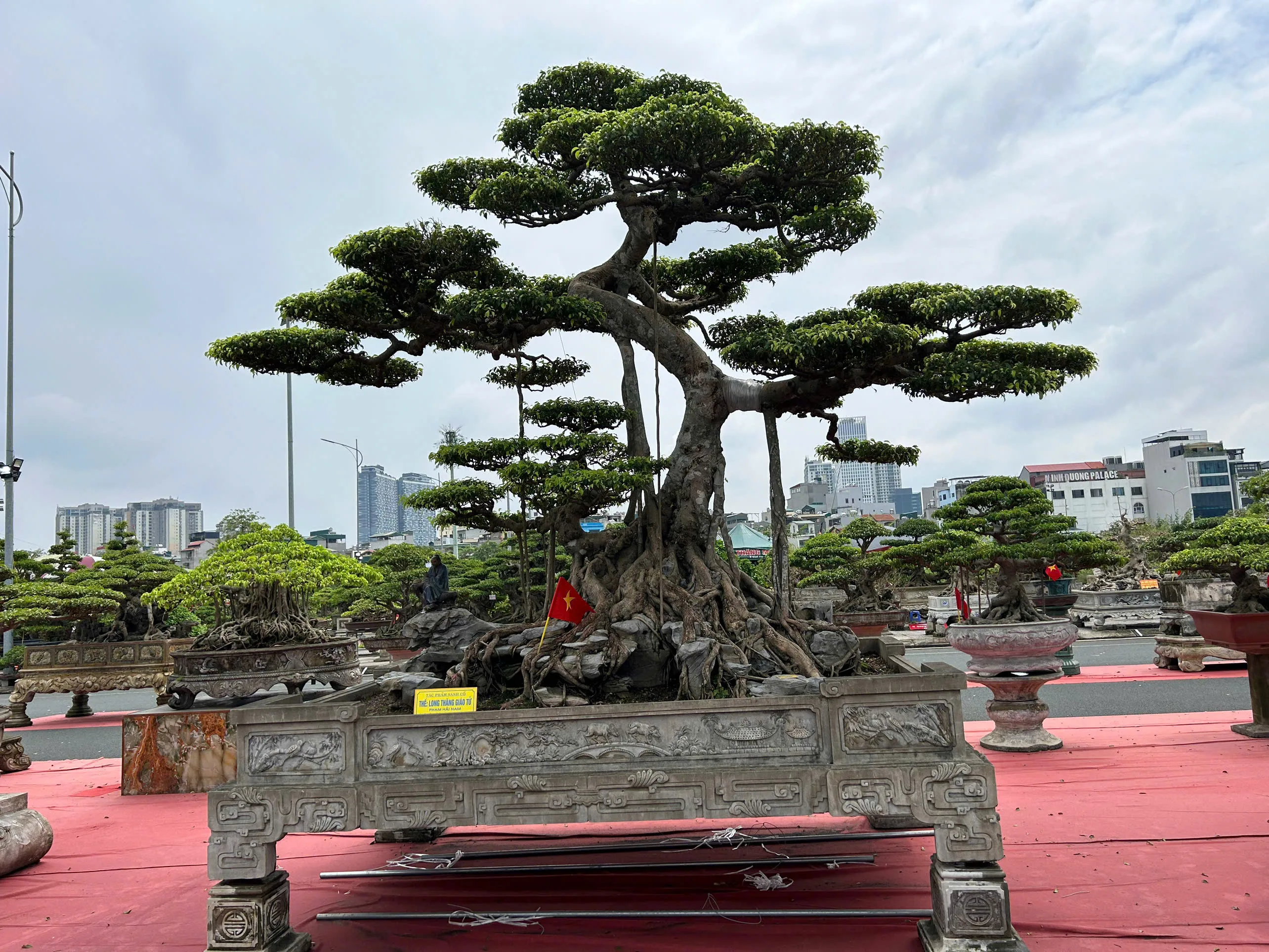 Festival Sinh Vật Cảnh Hà Nội Lần Thứ I Năm 2024: Sắc Hương Tụ Hội