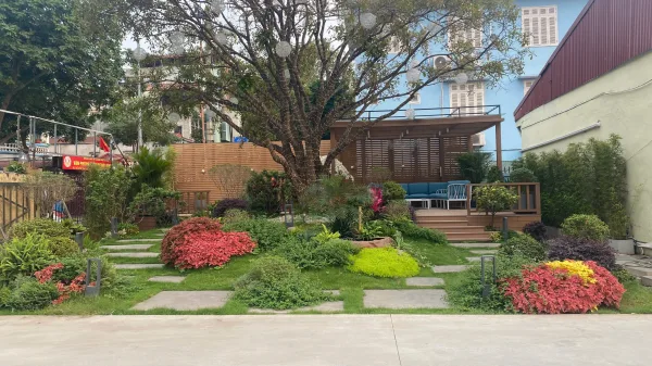 CỎ NHUNG NHẬT – GIẢI PHÁP THẢM CỎ CAO CẤP CHO SÂN VƯỜN, CÔNG TRÌNH VÀ KHU ĐÔ THỊ