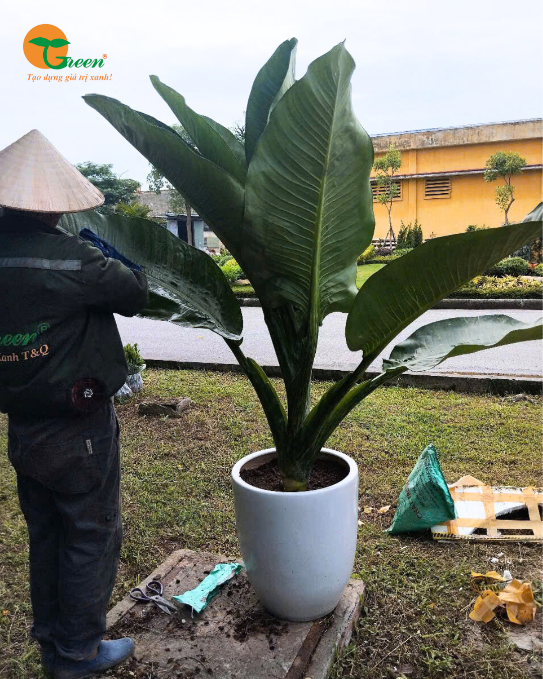 🌿 VƯỜN AN NHIÊN – Đơn vị thiết kế và thi công cảnh quan sân vườn uy tín tại miền Bắc