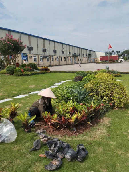 🌿 VƯỜN AN NHIÊN – Đơn vị thiết kế và thi công cảnh quan sân vườn uy tín tại miền Bắc