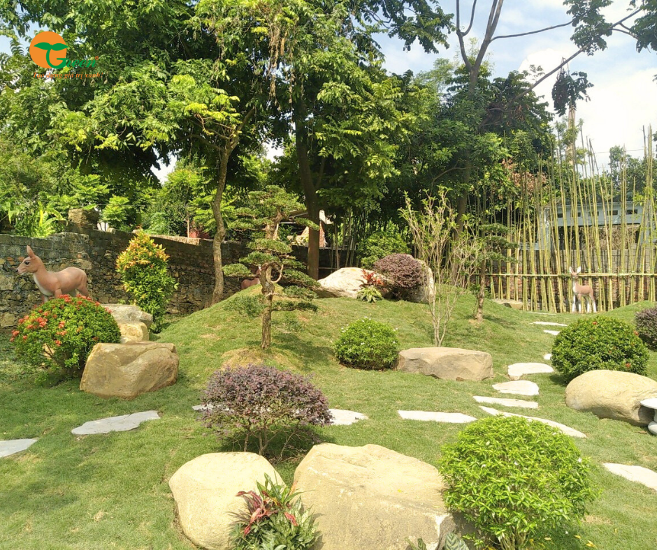 CUNG CẤP ĐÁ LÀM HỒ KOI – ĐÁ SÂN VƯỜN – ĐÁ BƯỚC DẠO CUNG CẤP ĐÁ LÀM HỒ KOI – ĐÁ SÂN VƯỜN – ĐÁ BƯỚC DẠO