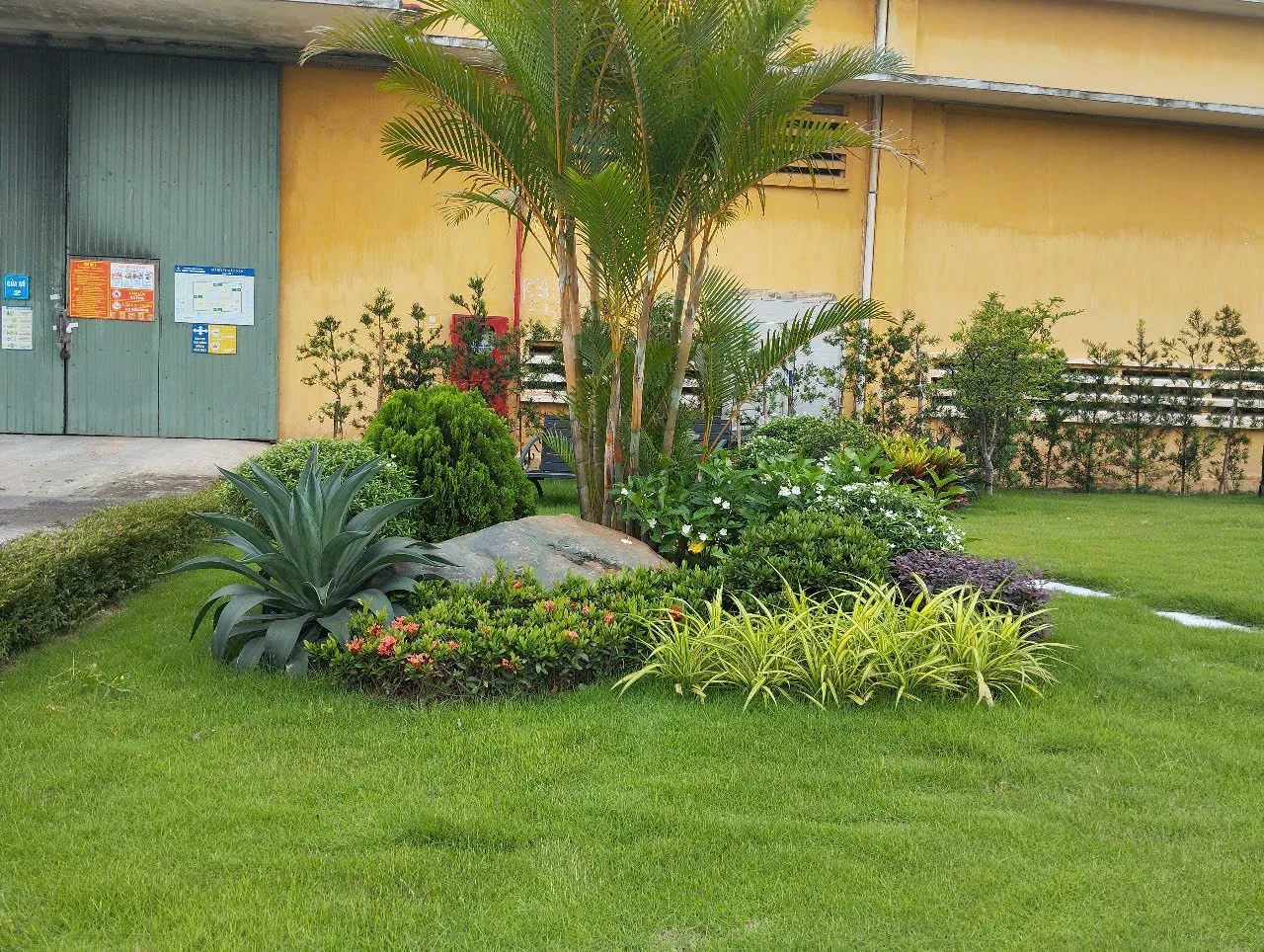 THI CÔNG CẢNH QUAN – KIẾN TẠO KHÔNG GIAN XANH, NÂNG TẦM GIÁ TRỊ CÔNG TRÌNH 