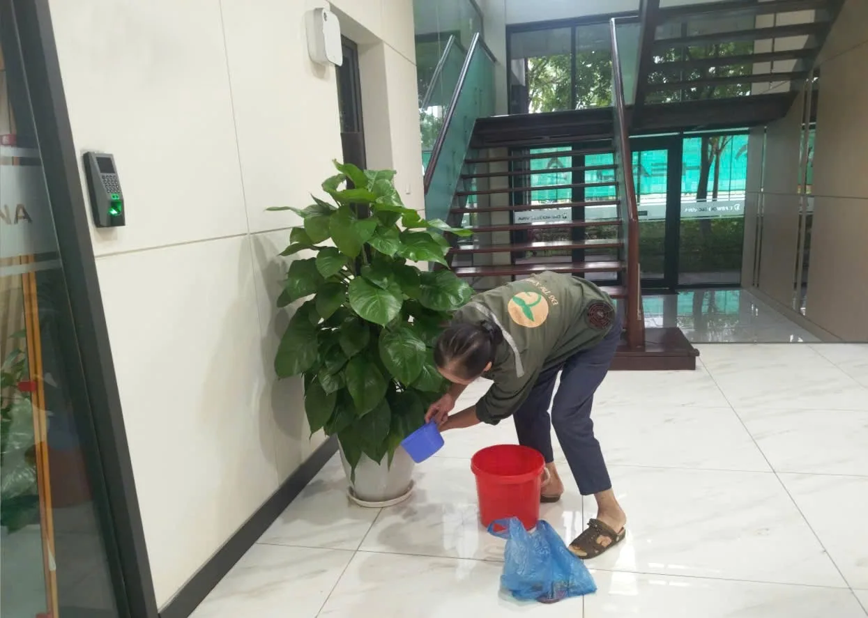 NHỮNG NGƯỜI GIỮ MÀU XANH CHO KHU ĐÔ THỊ 🌿