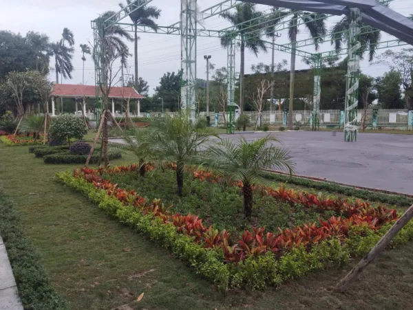 Dịch Vụ Trồng Cây Xanh – Kiến Tạo Không Gian Xanh Bền Vững